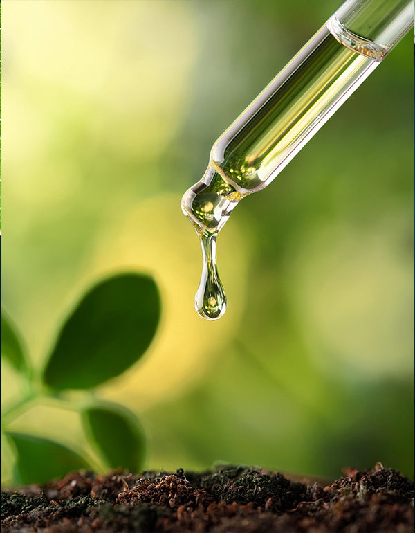 Natürliches Haarwachstumsserum mit pflanzlichen Inhaltsstoffen für gesünderes Haar.